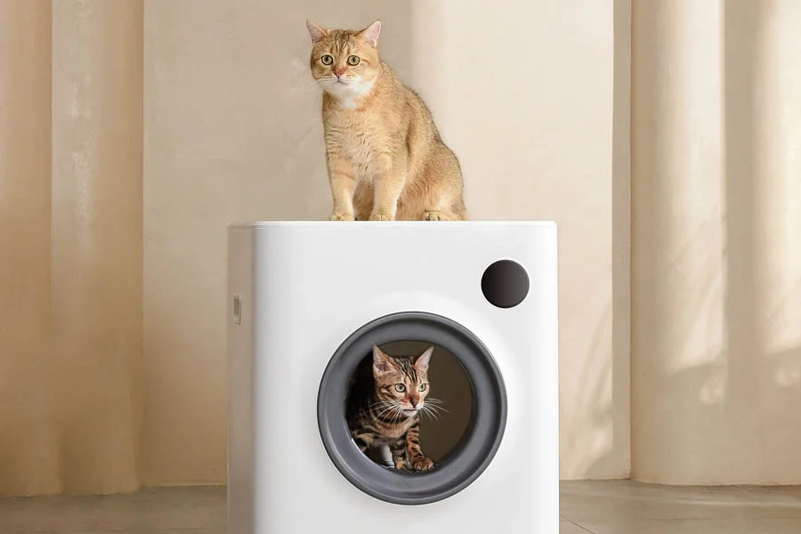 auto clean kitty litter box