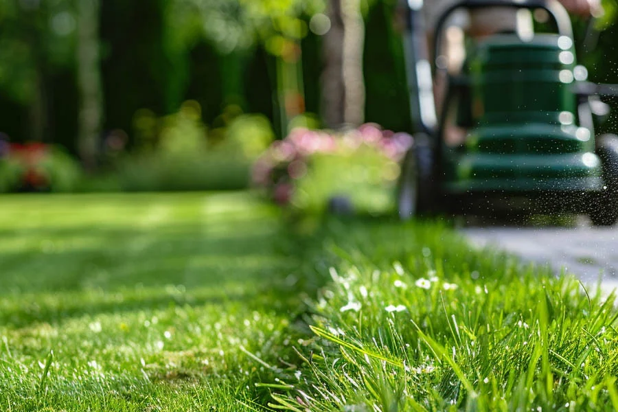 battery self propelled lawn mowers